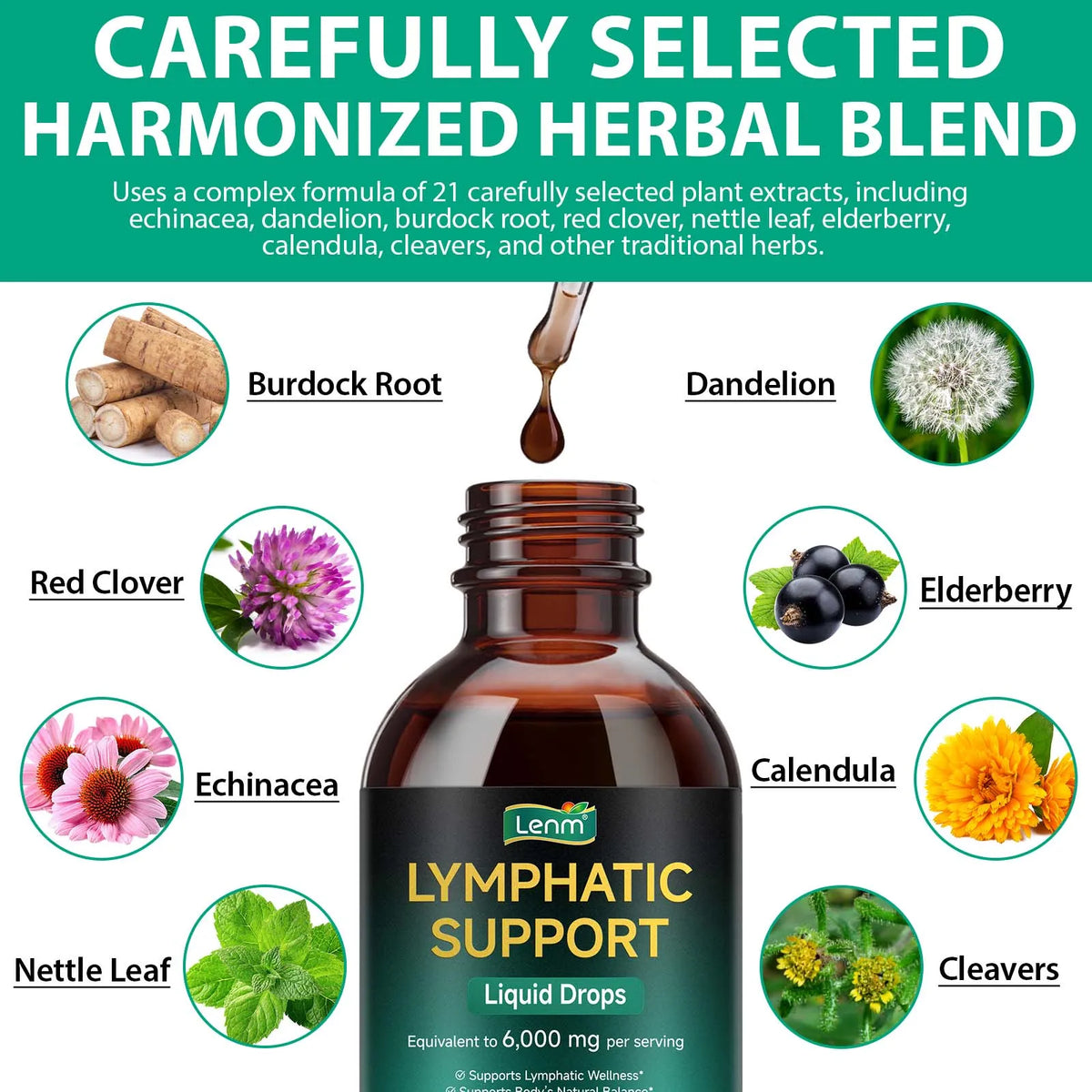 Lymphatic Support Liquid Drops (60ml)