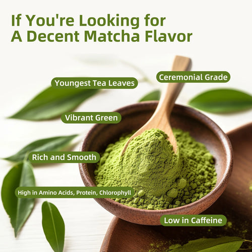 7 Mushroom Matcha Latte Powder Mix (10 Sachets)