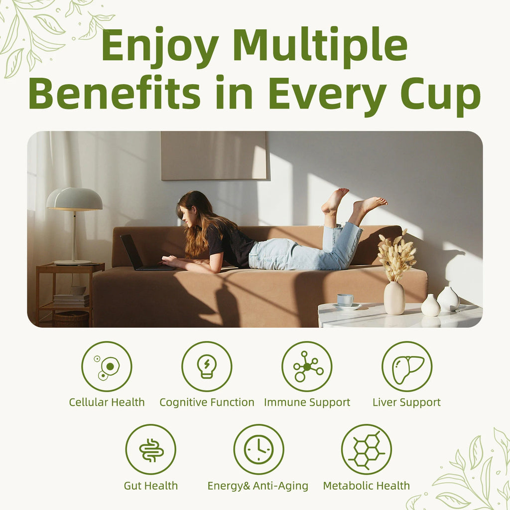 7 Mushroom Matcha Latte Powder Mix (10 Sachets)