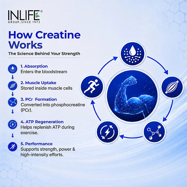 Micronized Creatine Monohydrate Powder (100g)